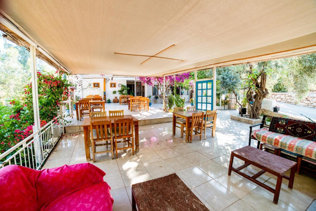 Eucalyptus Pension Patara Exterior photo