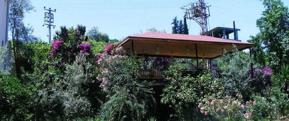 Eucalyptus Pension Patara Exterior photo
