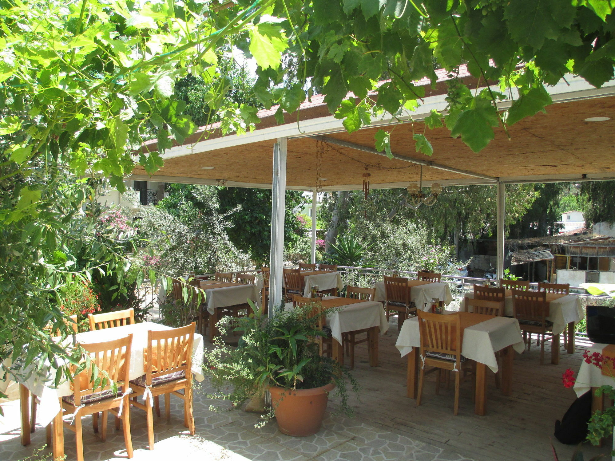 Eucalyptus Pension Patara Exterior photo