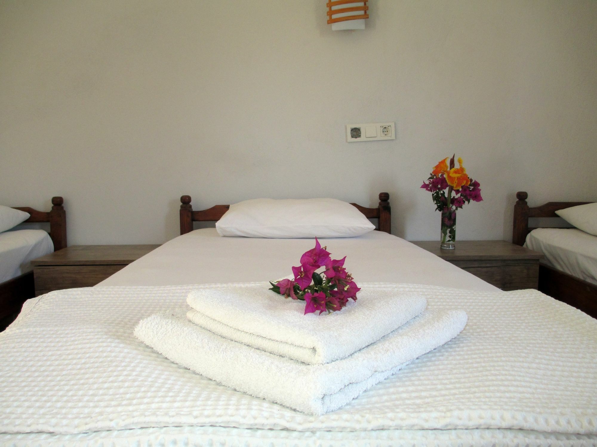 Eucalyptus Pension Patara Exterior photo