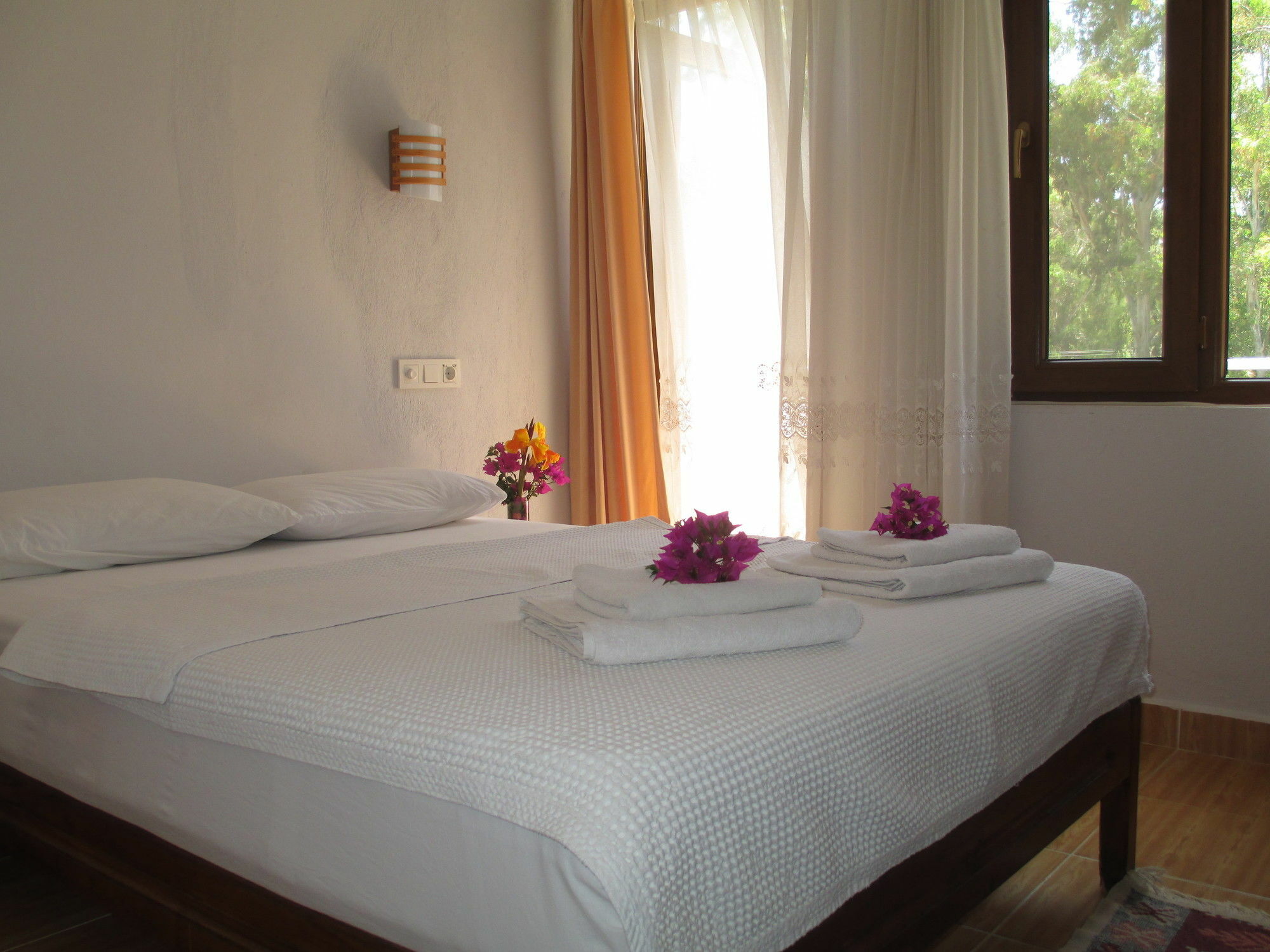 Eucalyptus Pension Patara Exterior photo