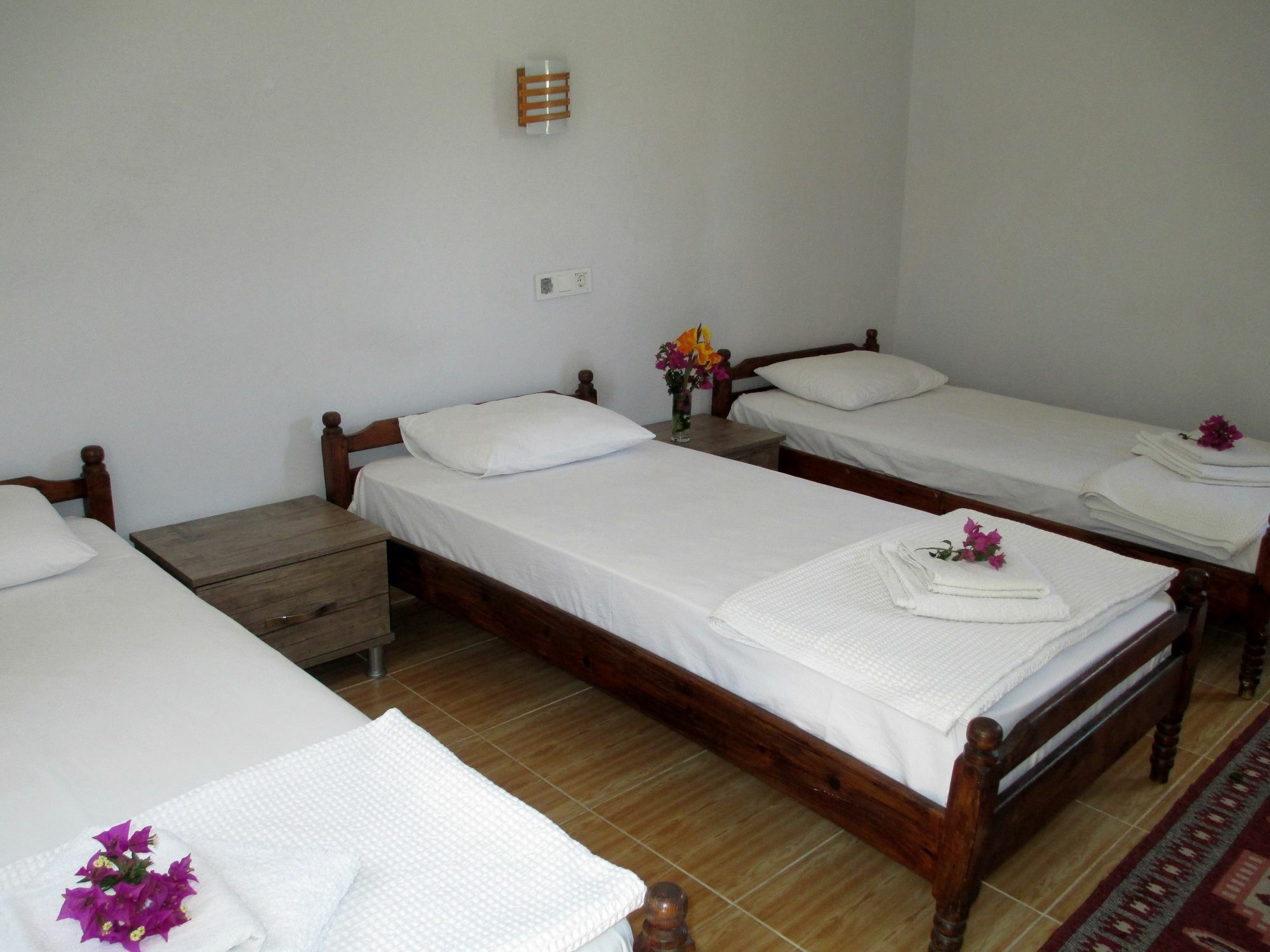 Eucalyptus Pension Patara Exterior photo